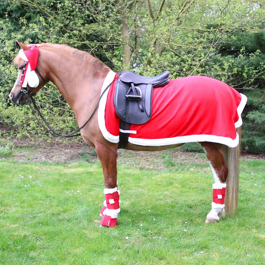 Hy Equestrian Christmas Santa Exercise Sheet