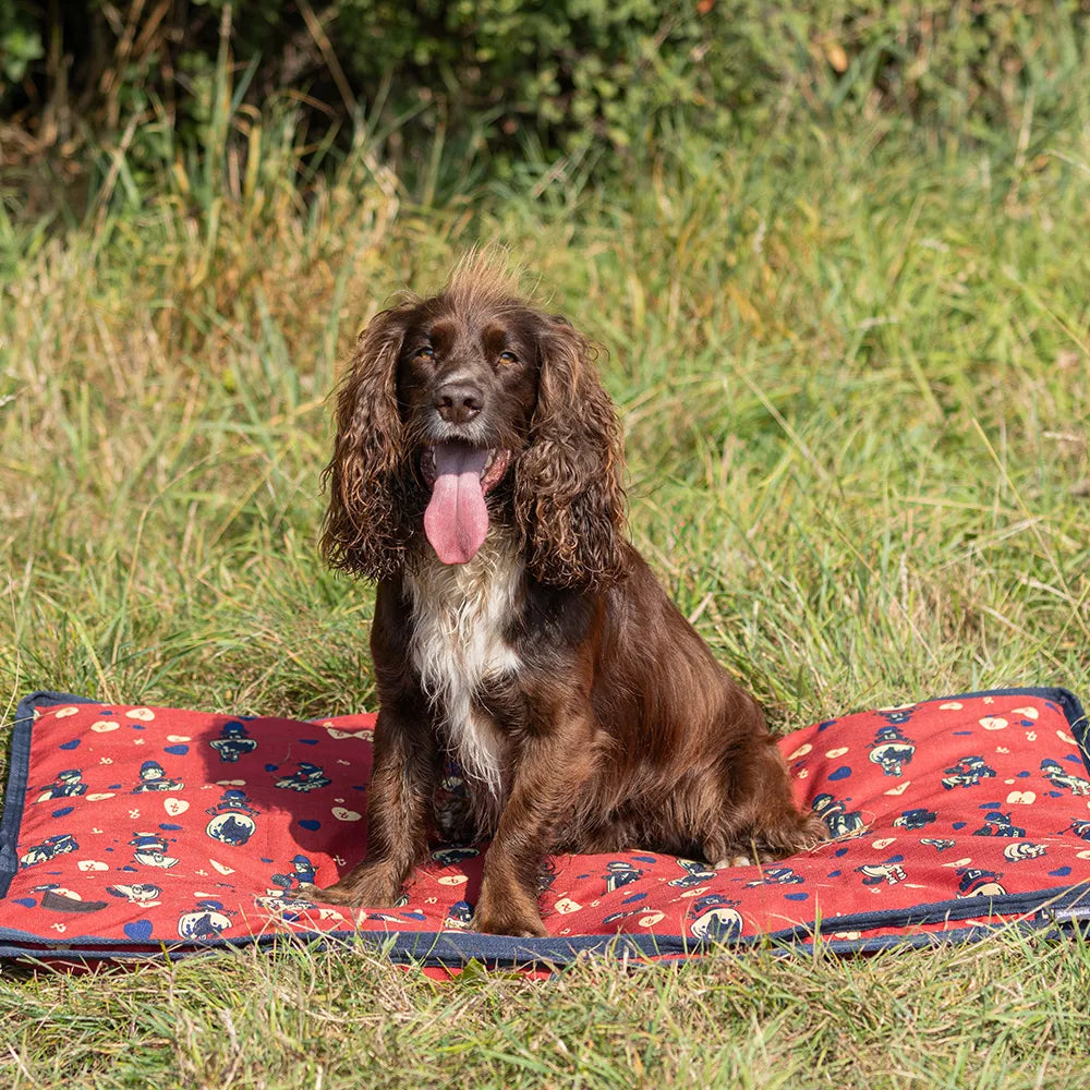 Benji & Flo Thelwell Collection Balancing Act Dog Bed