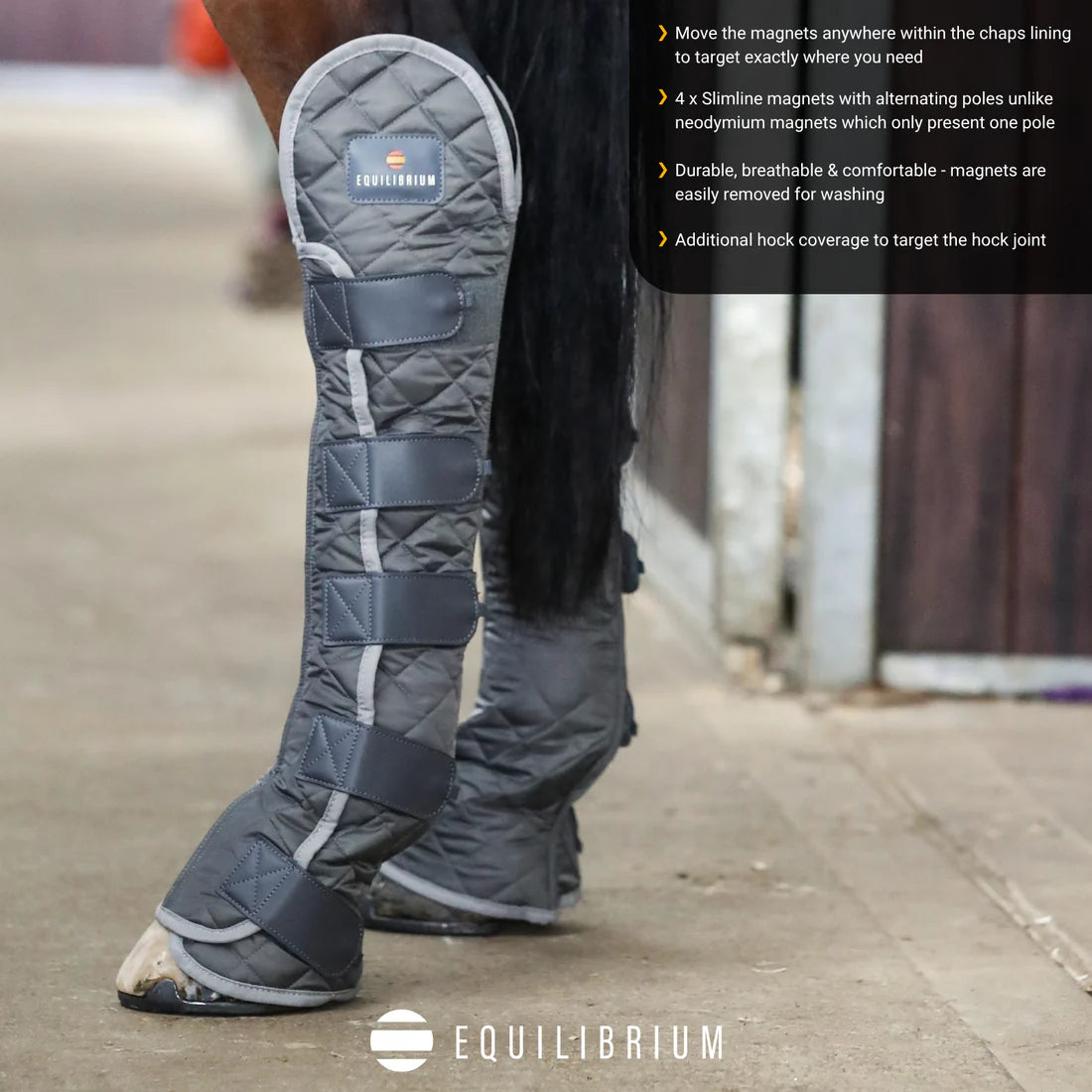 Equilibrium Hind & Hock Magnetic Chaps