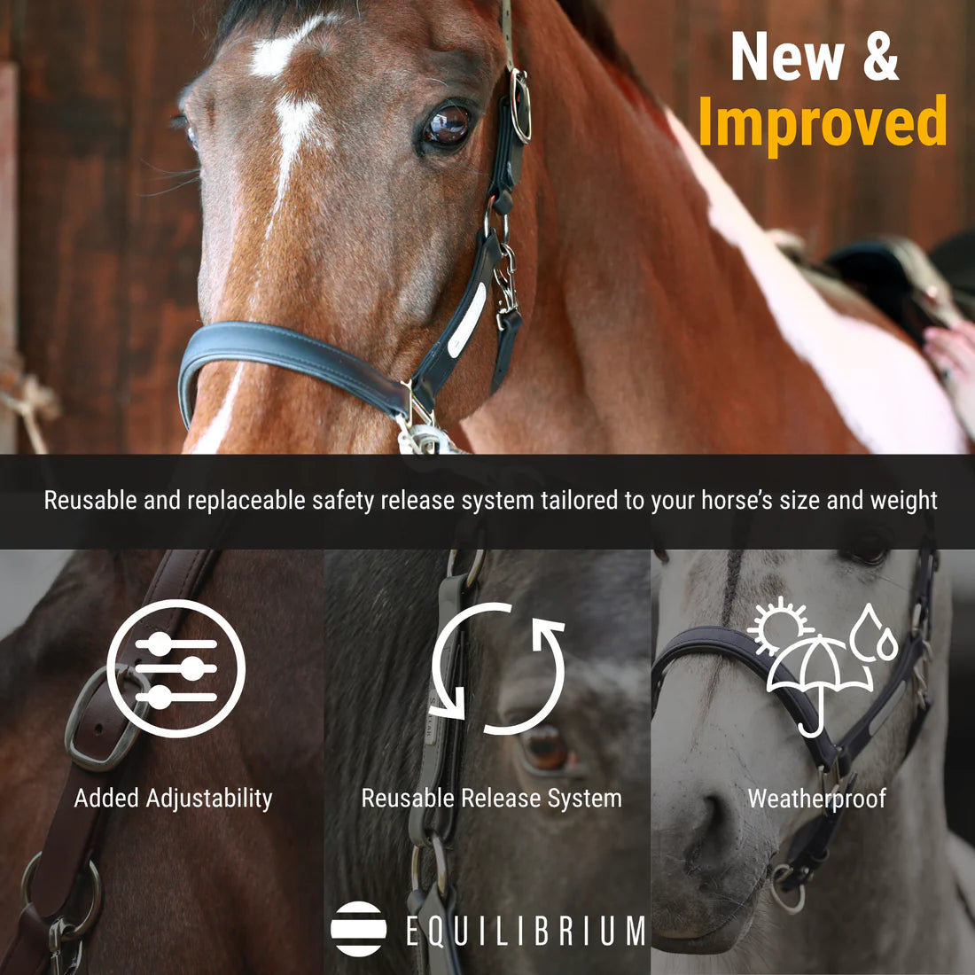 Equilibrium Stellar All Weather Headcollar - Black