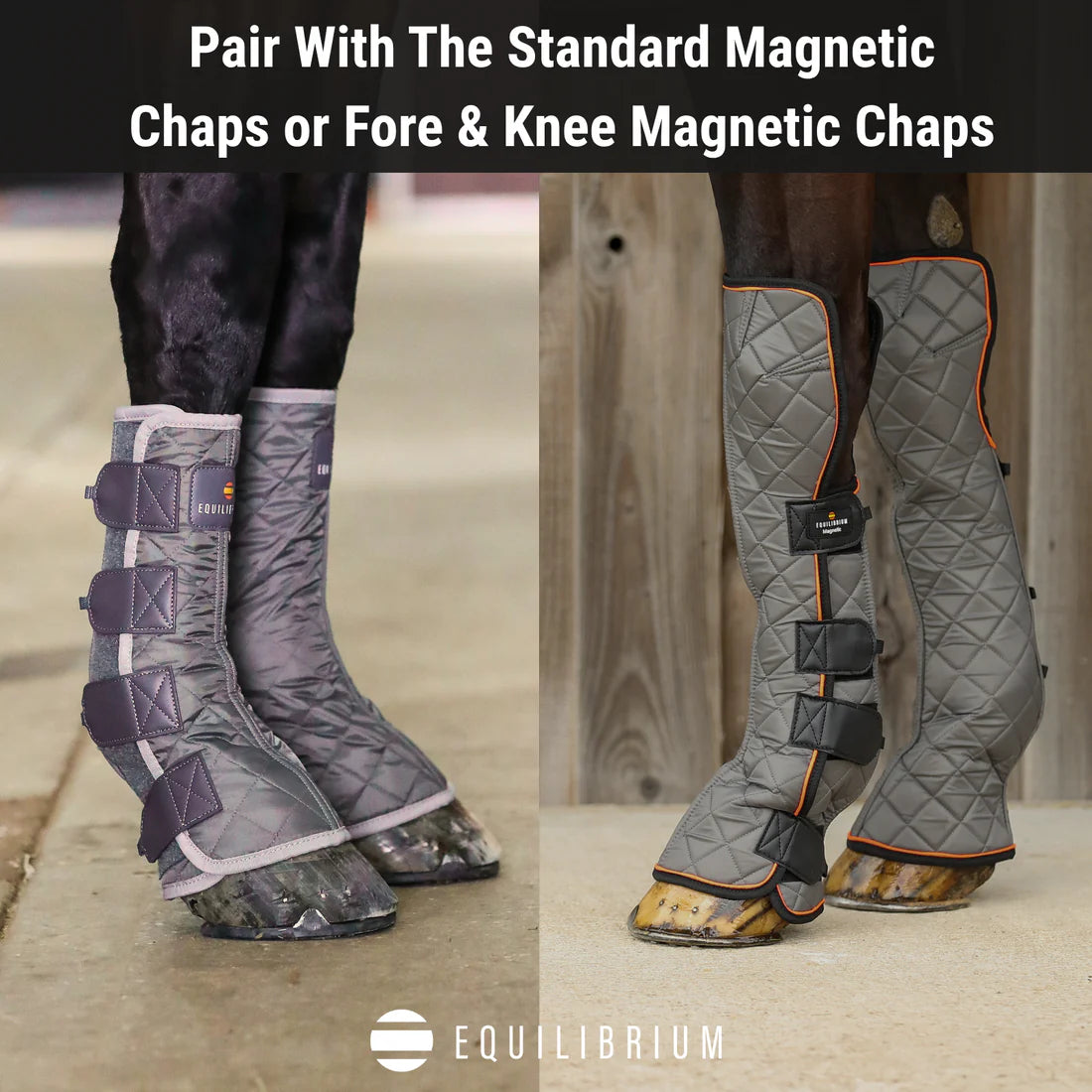 Equilibrium Hind & Hock Magnetic Chaps