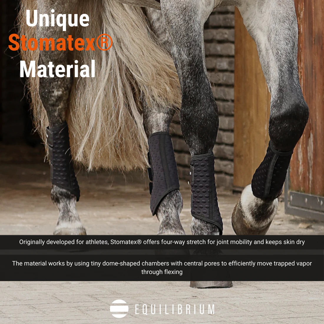 Equilibrium Stretch & Flex Flatwork Wraps - Black