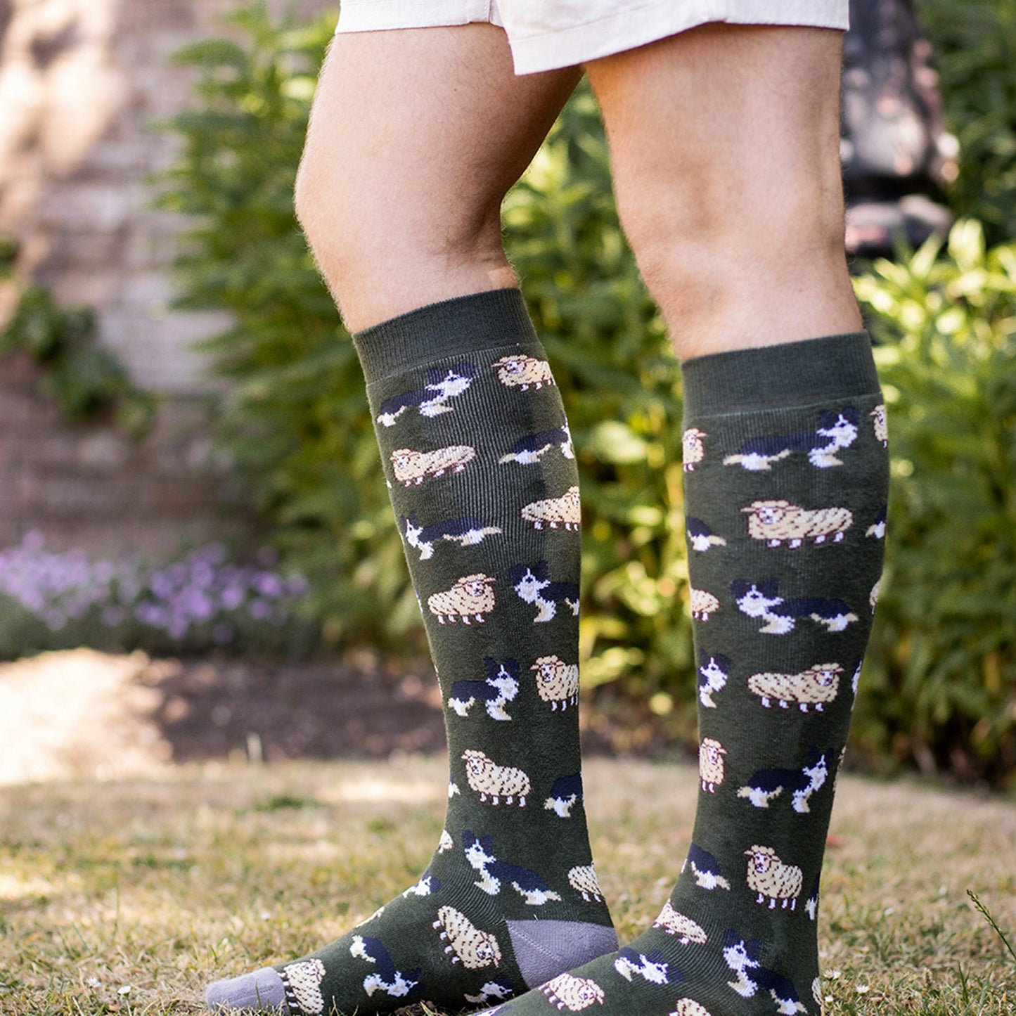 Bartleby Funky Welly Socks Mens Sheep & Sheepdog