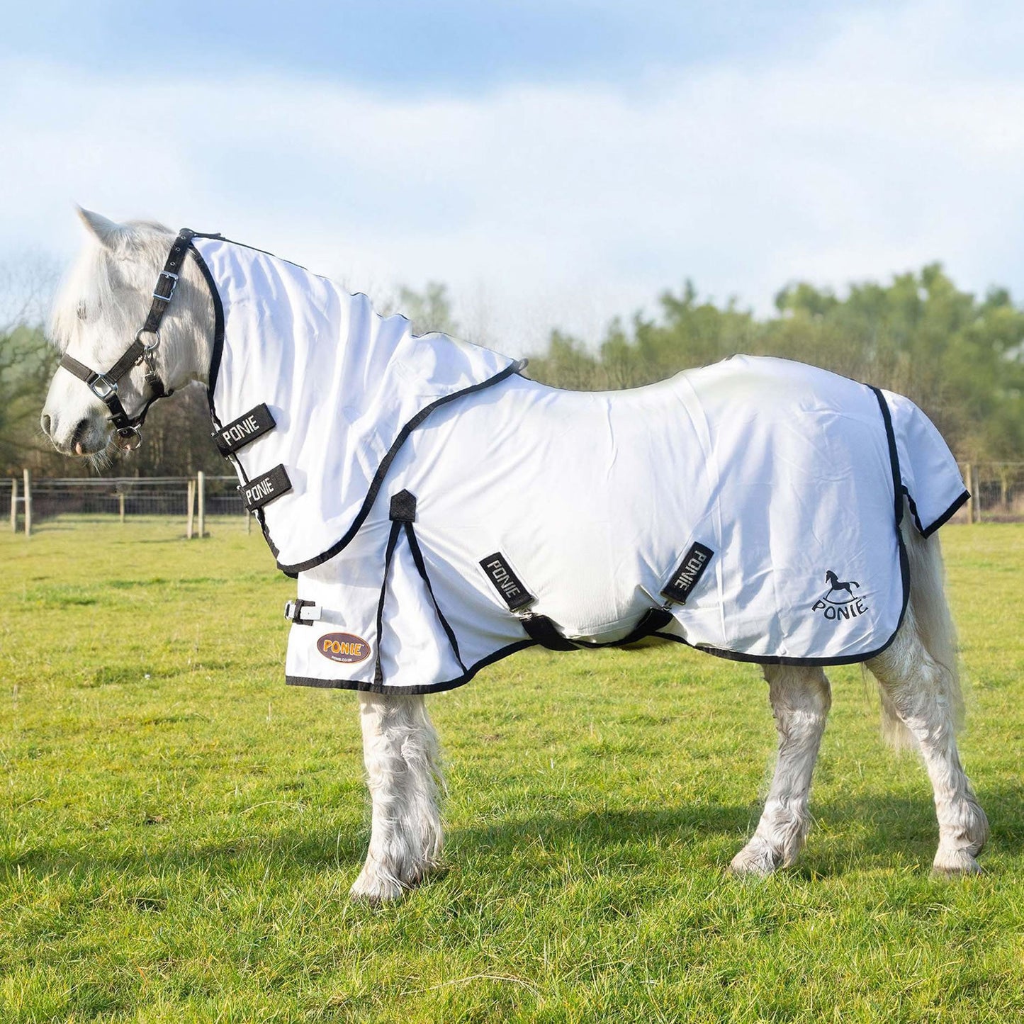 Gallop Ponie Dual 5-point Fly Rug / Neck Set White