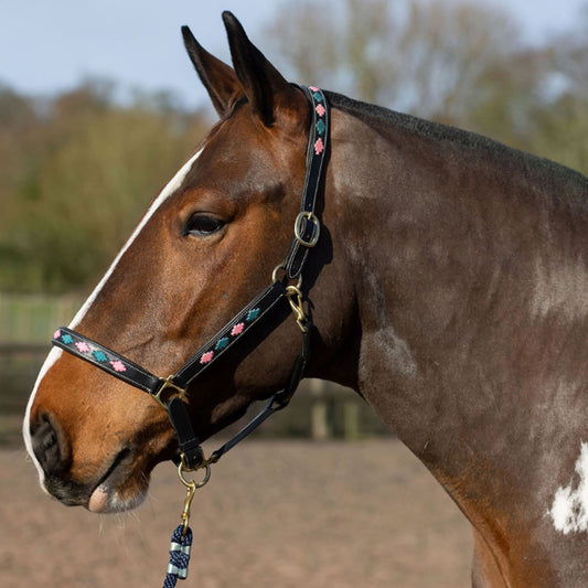 Gallop Diamond Padded Leather Headcollar Pink / Aqua