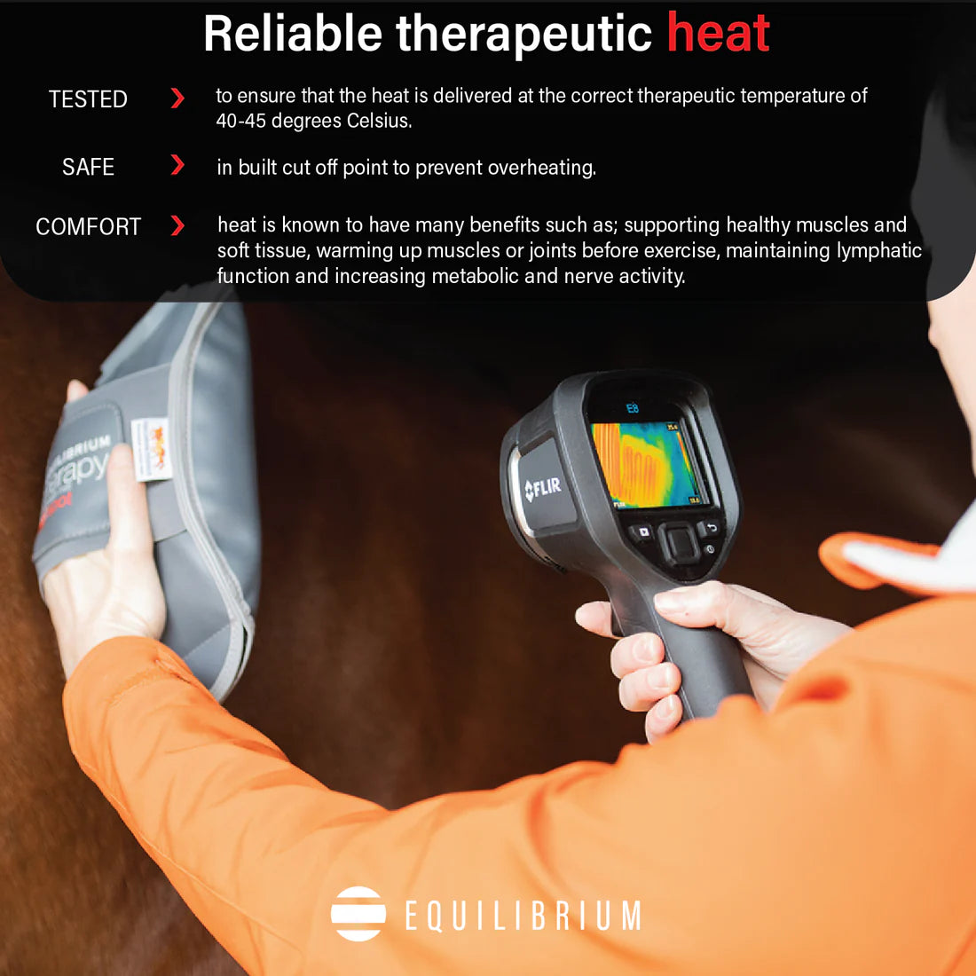 Equilibrium Massage Mitt Hotspot