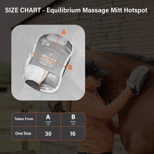 Equilibrium Massage Mitt Hotspot