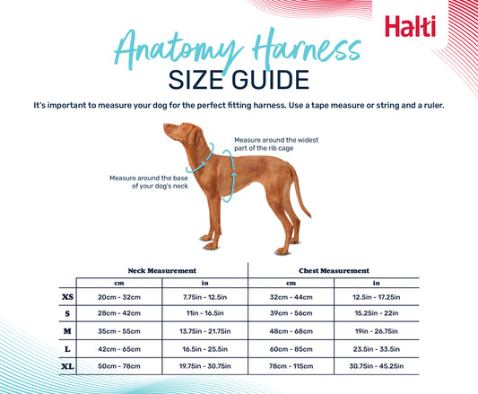 Halti Anatomy Harness - Magenta