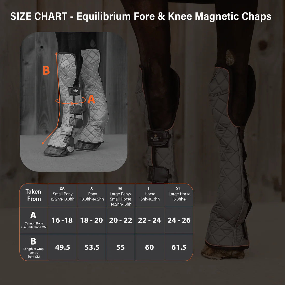 Equilibrium Fore & Knee Magnetic Chaps