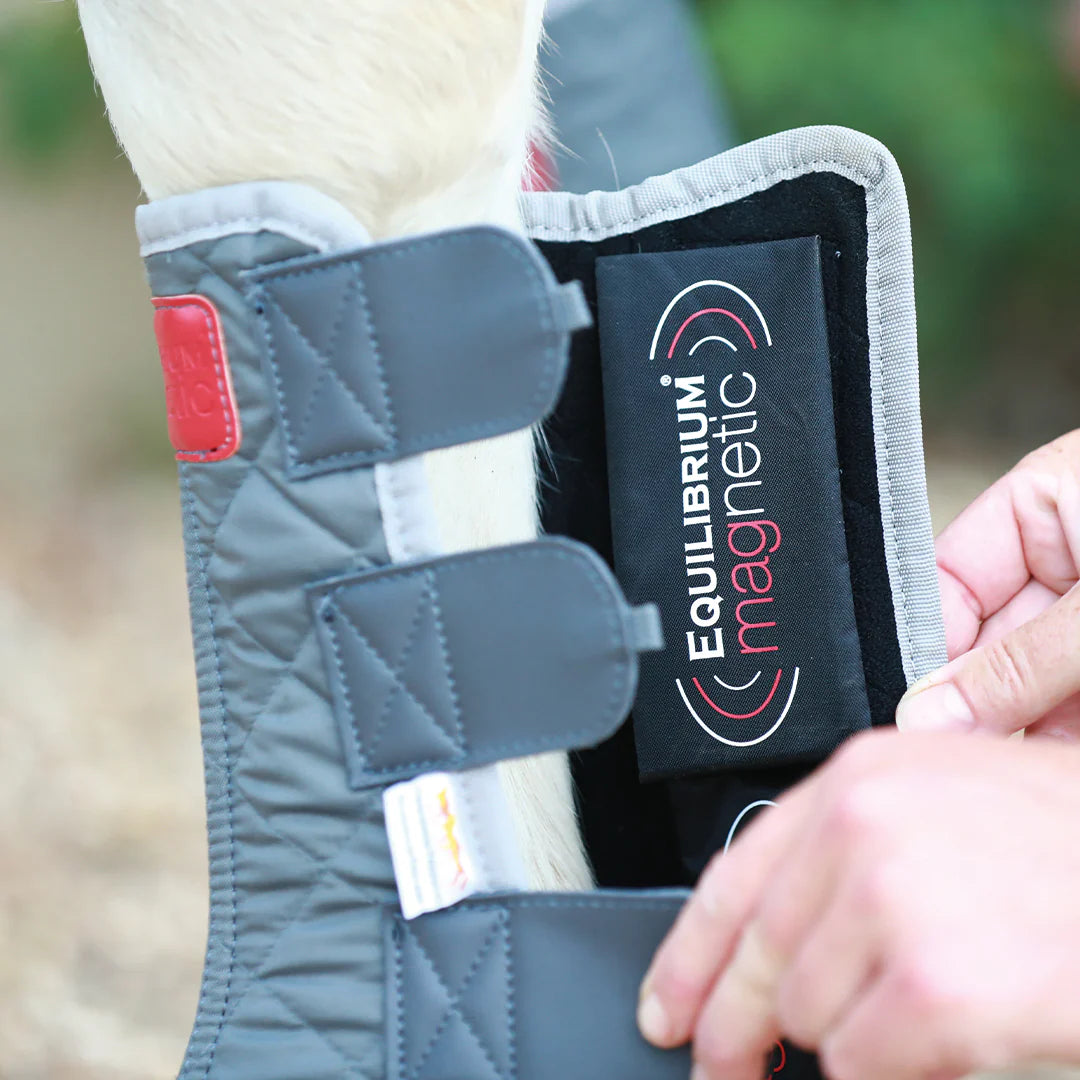 Equilibrium Spare Magnets for Magnetic Chaps