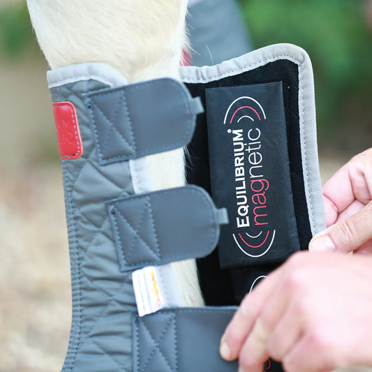 Equilibrium Spare Magnets for Magnetic Chaps