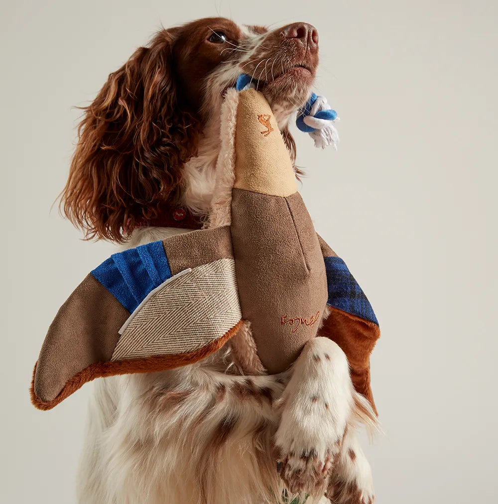 Joules Plush Printed Duck