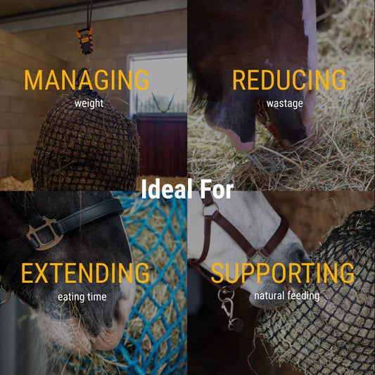 Equilibrium PortionPacer™ Haynets