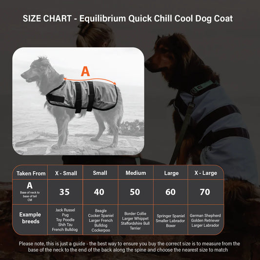 Equilibrium Quick Chill Dog Coat