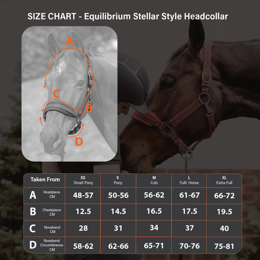Equilibrium Stellar Style Headcollar - Black