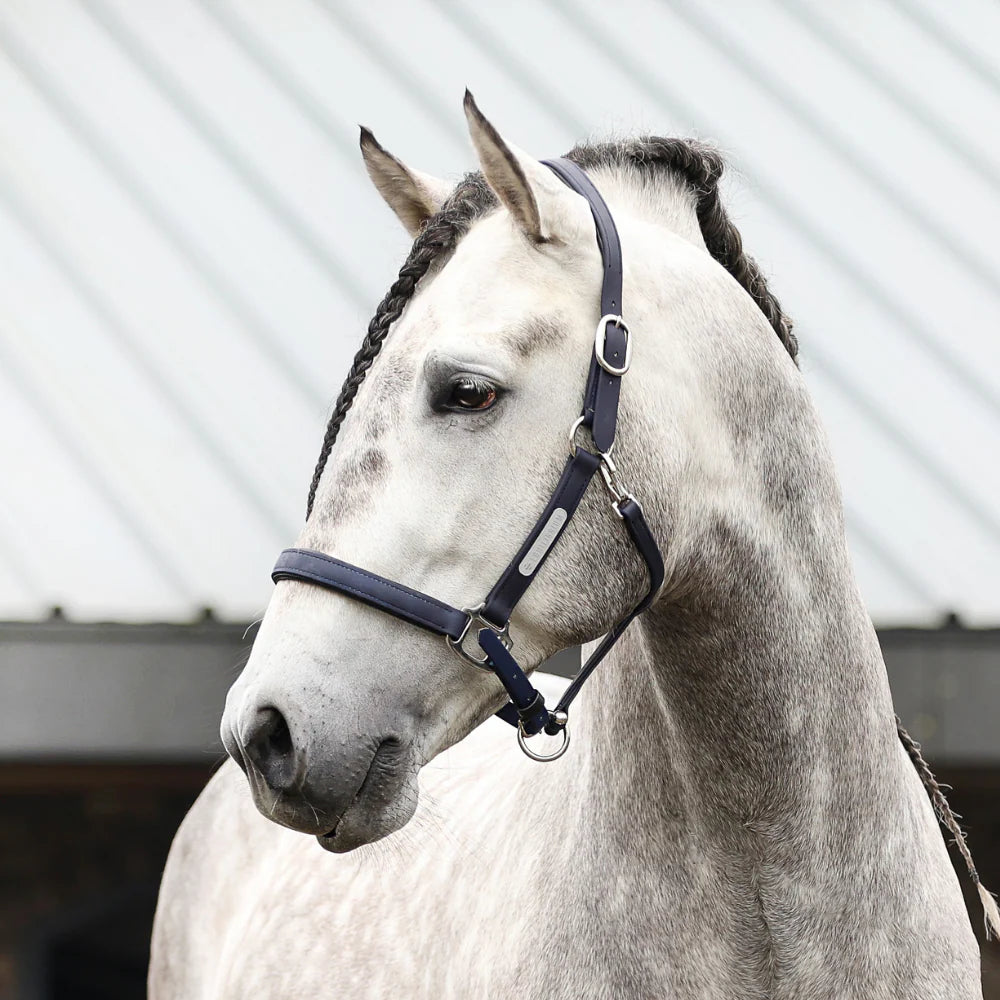 Equilibrium Stellar All Weather Headcollar - Black