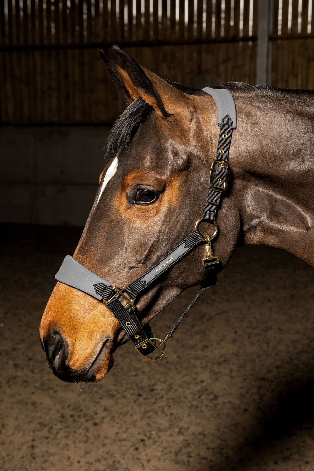 Whitaker Harewood Headcollar - Grey