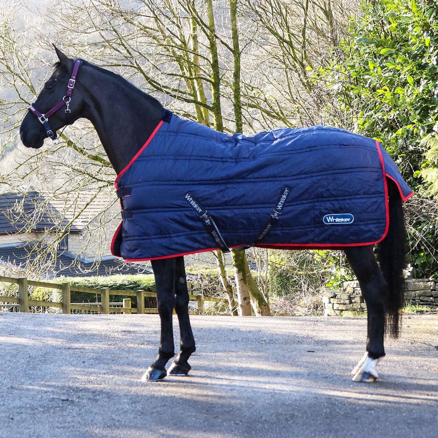 Whitaker Rastrick V2 100g Stable Rug - Navy