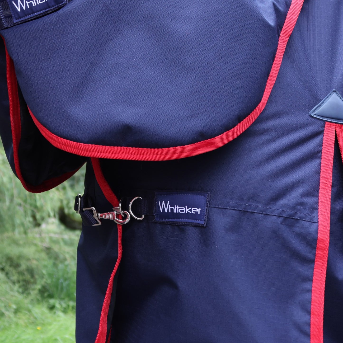 Whitaker Rastrick V2 250g Turnout Rug