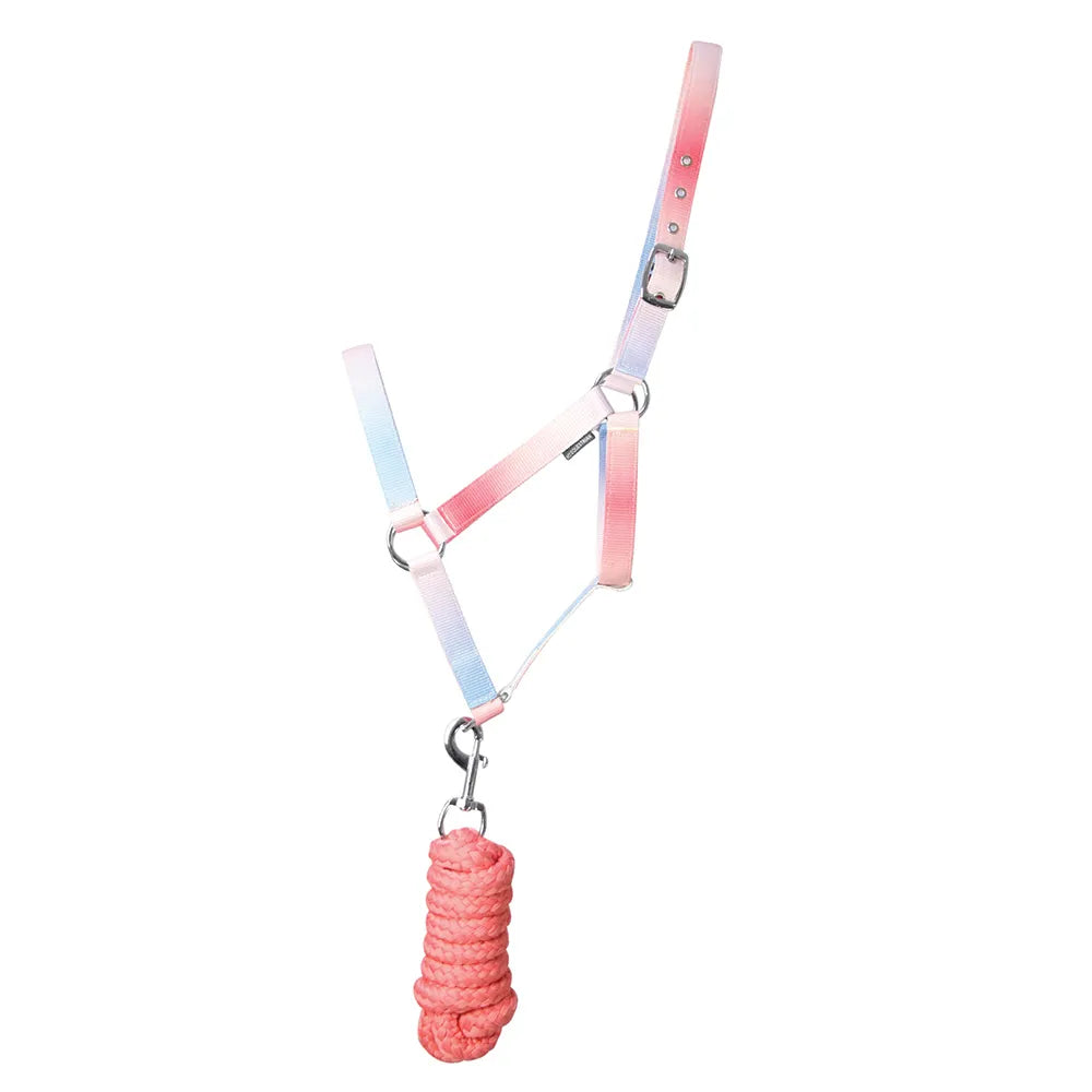 Hy Equestrian Ombre Head Collar & Lead Rope