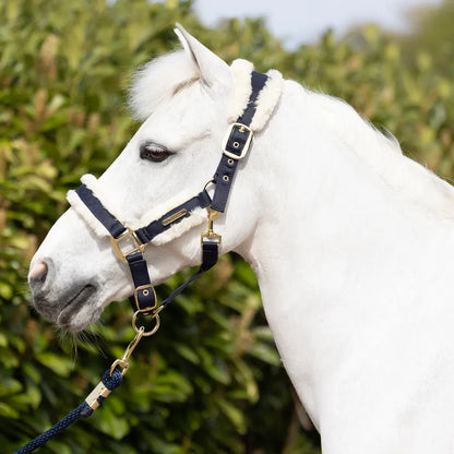 Coldstream Langlee Luxury Head Collar & Lead Rope