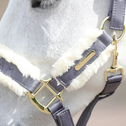 Coldstream Langlee Luxury Head Collar & Lead Rope