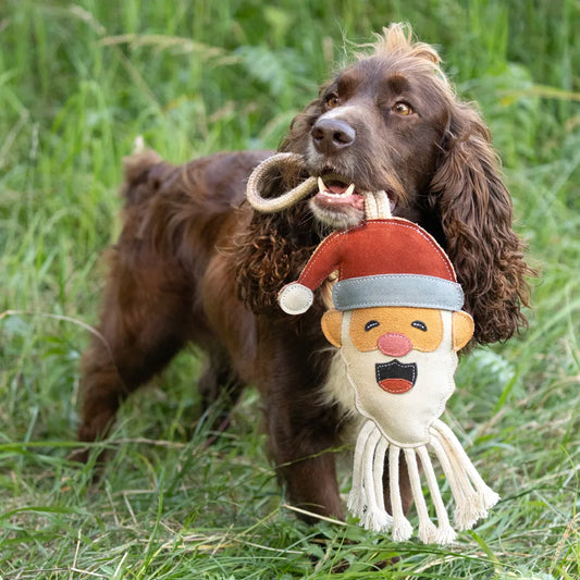 Benji & Flo Christmas Dog Toys