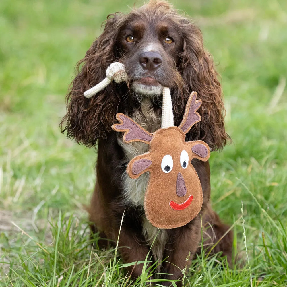 Benji & Flo Christmas Dog Toys