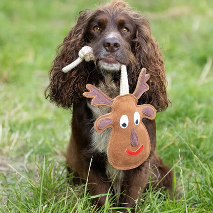 Benji & Flo Christmas Dog Toys