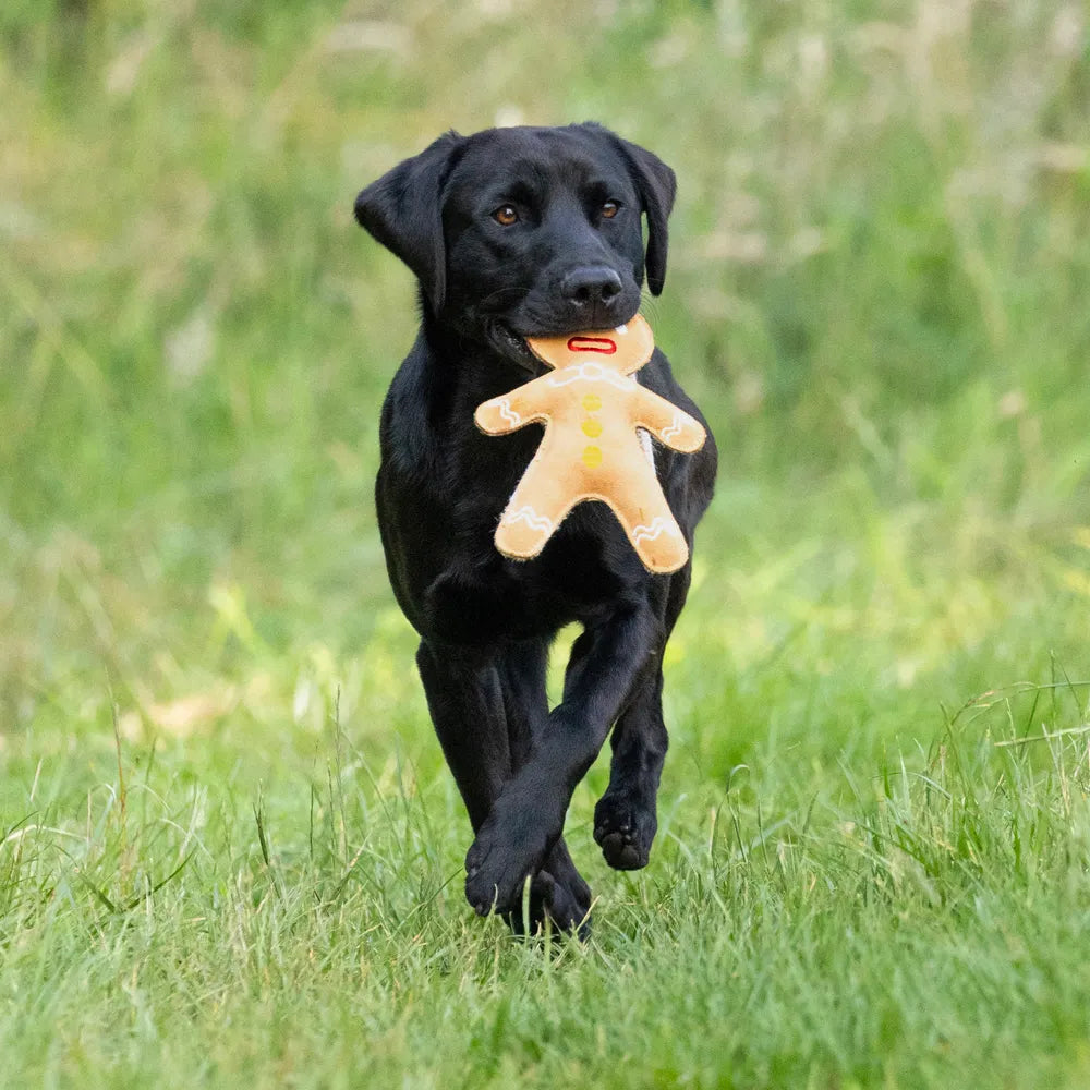 Benji & Flo Christmas Dog Toys