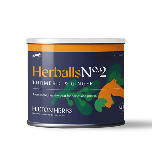 Hilton Herbs Herballs - Turmeric & Ginger
