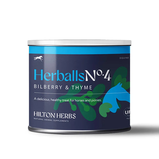Hilton Herbs Herballs - Bilberry & Thyme