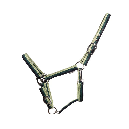 Hy Equestrian Trinity Head Collar - Navy/Green/Light Green
