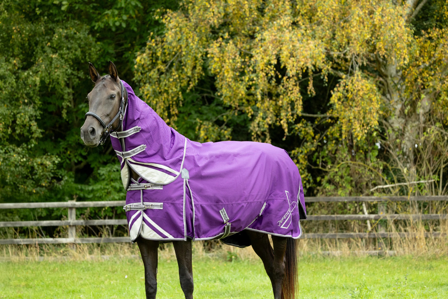 DefenceX Shield 0g Turnout Rug with Detachable Neck