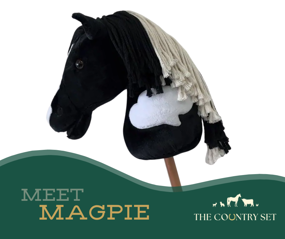 Hobby Horse "Magpie"