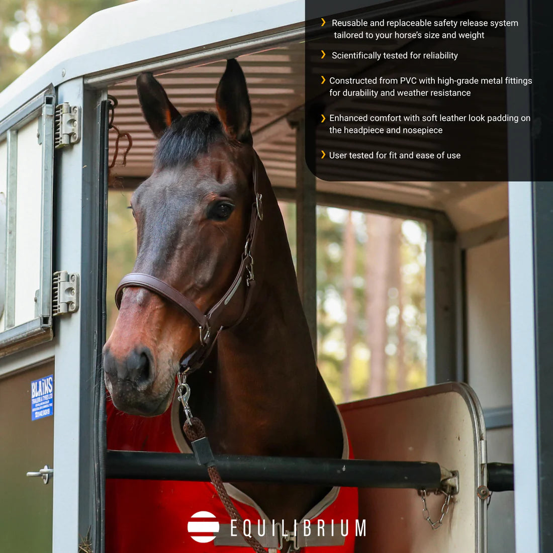 Equilibrium Stellar All Weather Headcollar - Black