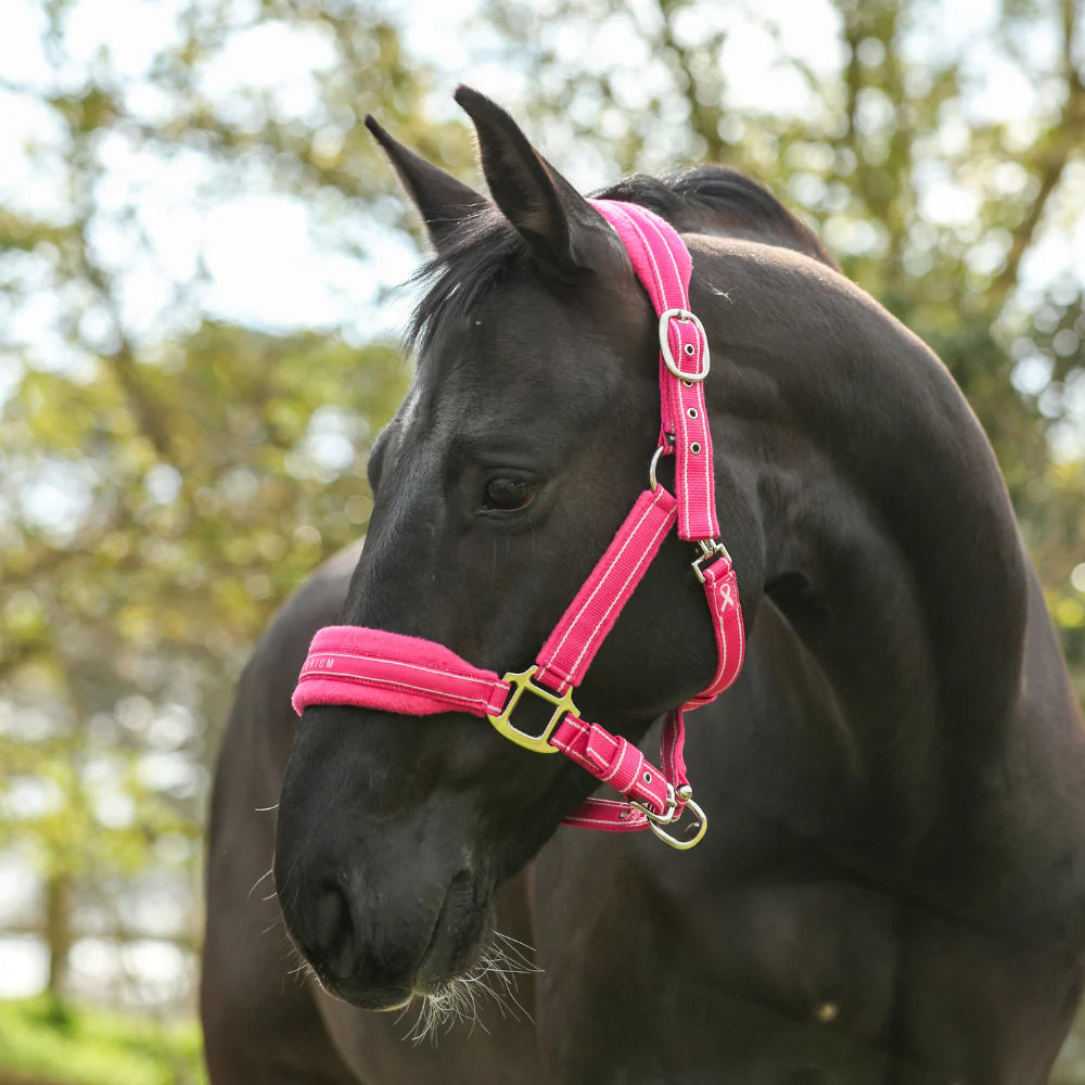 Equilibrium Stellar Style Headcollar - Pink