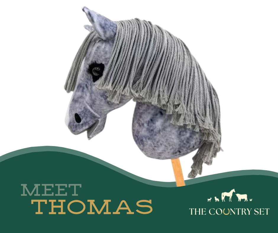 Hobby Horse "Thomas"