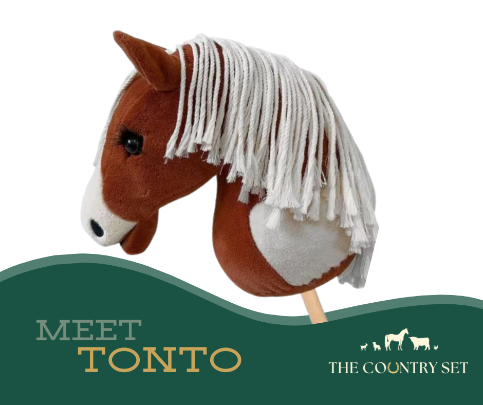 Hobby Horse "Tonto"