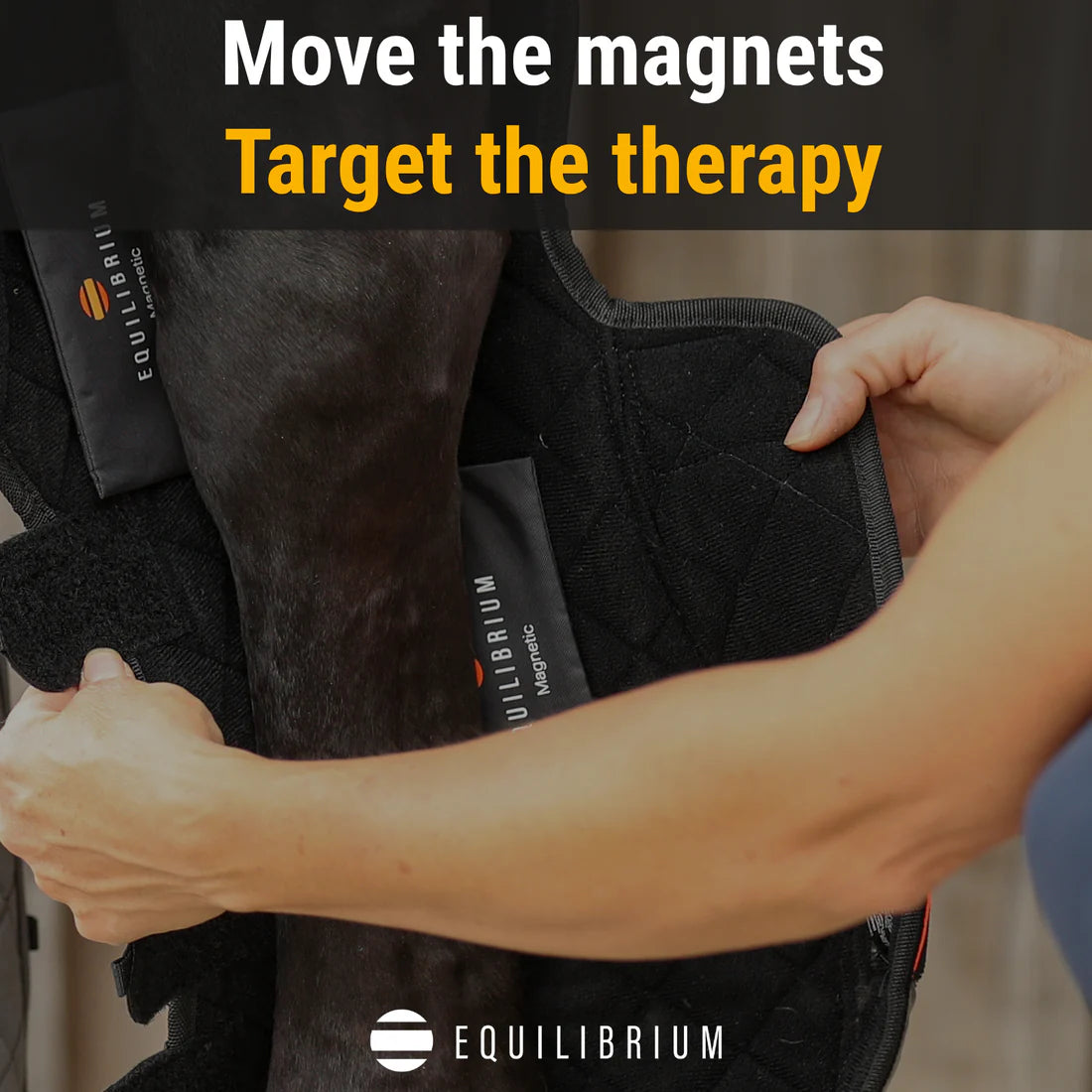 Equilibrium Magnetic Chaps