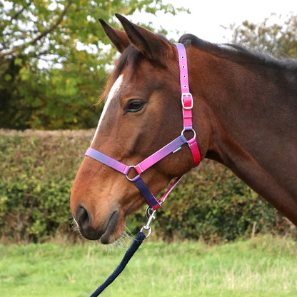 Hy Equestrian Ombre Head Collar & Lead Rope