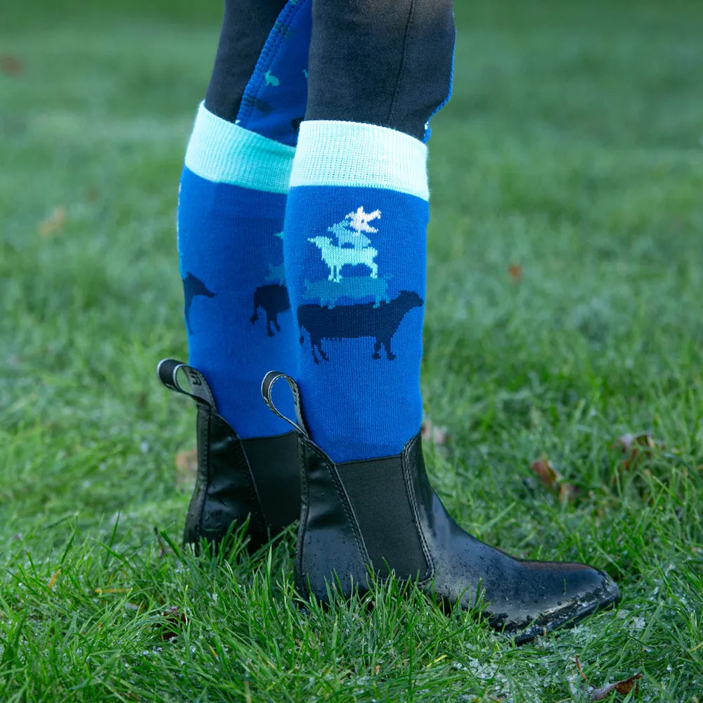 Farm Collection Socks by Little Knight (Pack of 3) - Cobalt Blue/Navy