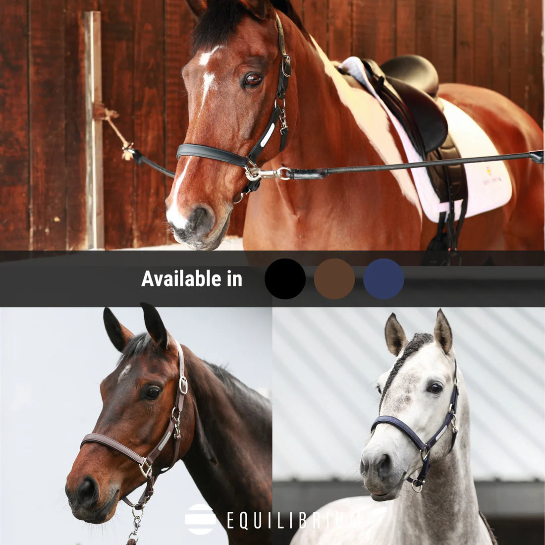Equilibrium Stellar All Weather Headcollar - Black
