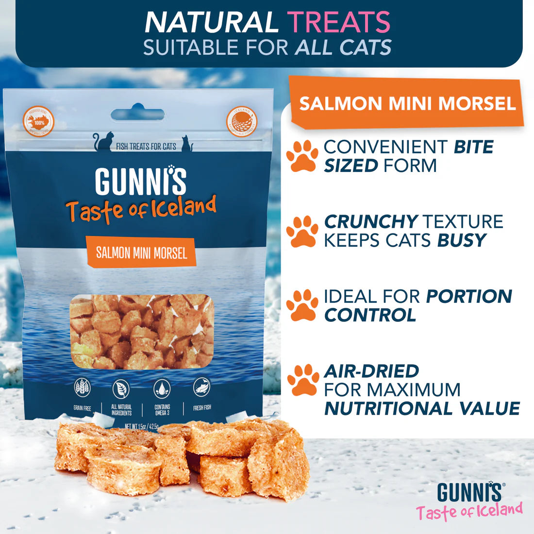 Gunni's Salmon Mini Morsels Cat Treats