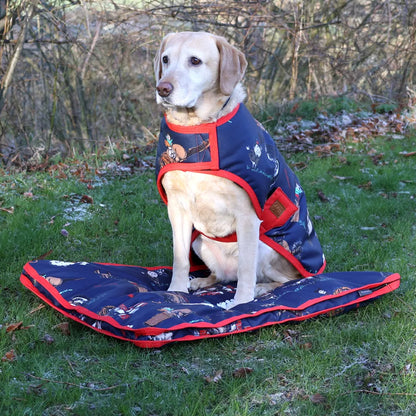 Benji & Flo Thelwell Collection Practice Makes Perfect Dog Bed