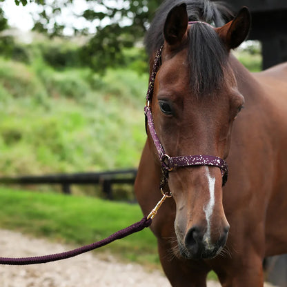 Hy Equestrian Enchanted Collection Head Collar & Lead Rope