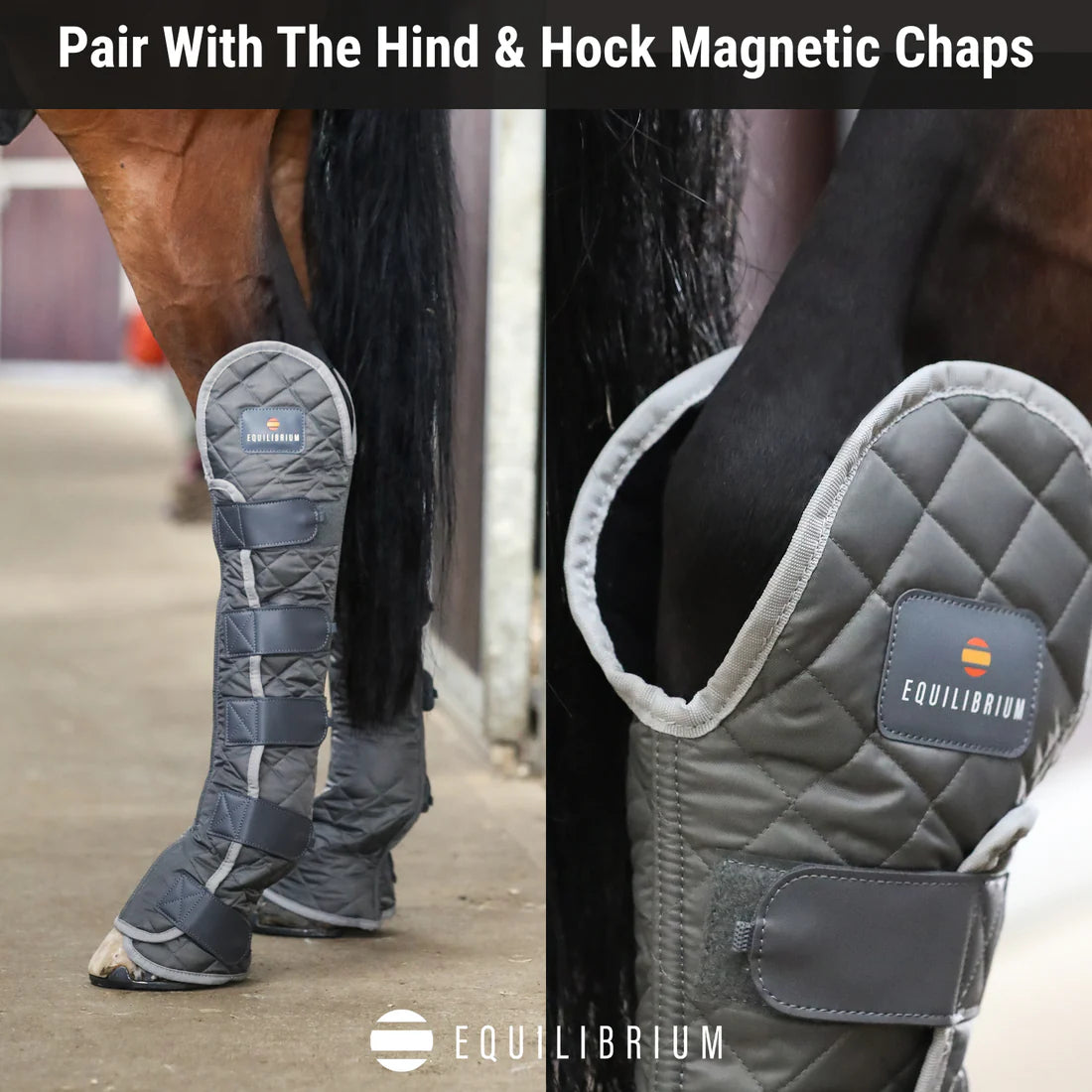 Equilibrium Magnetic Chaps