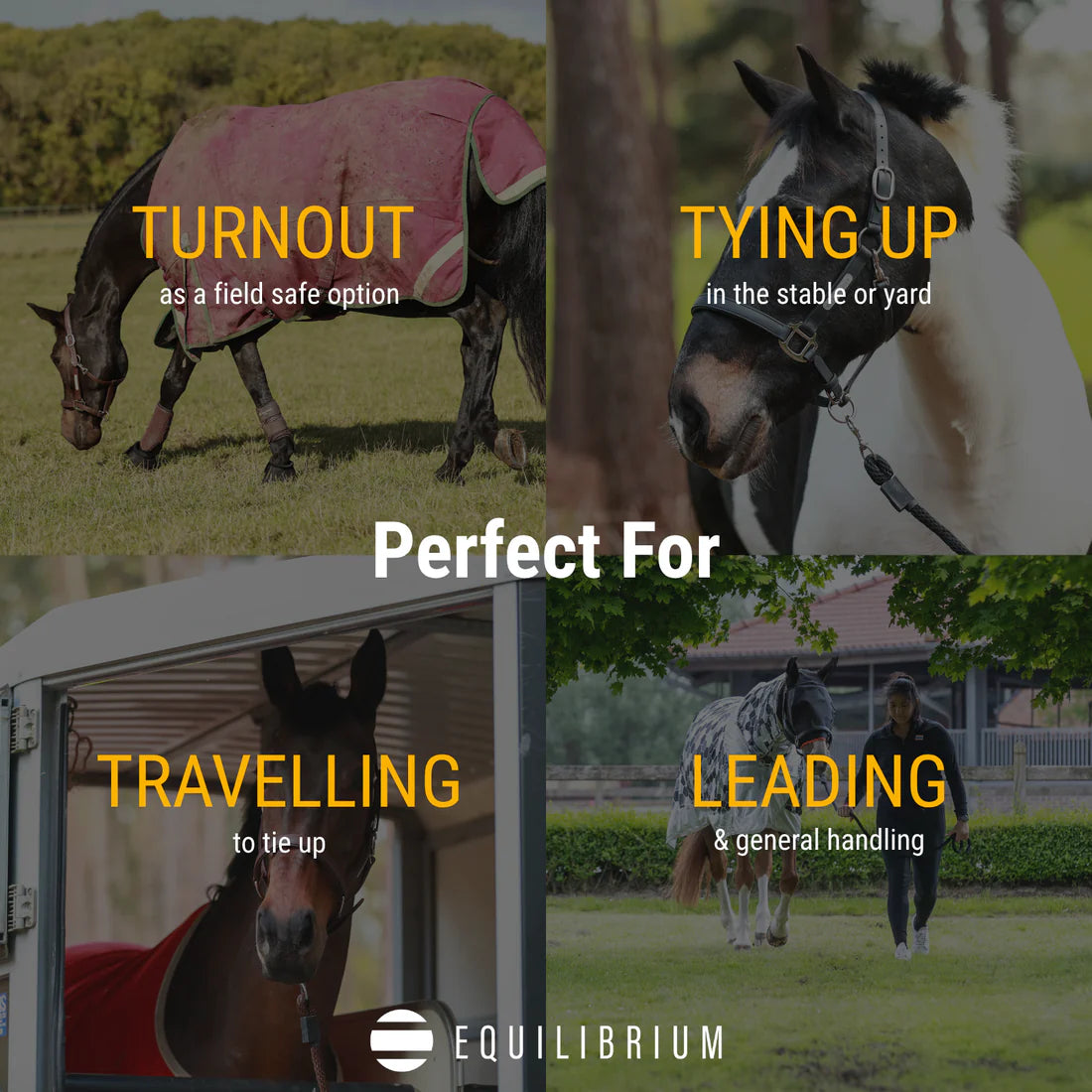 Equilibrium Stellar All Weather Headcollar - Black