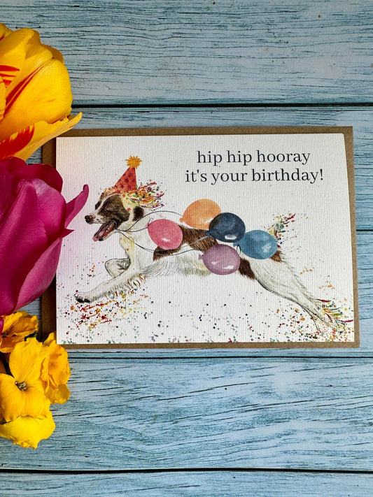 Birthday Spaniel |  Eco Friendly Gift Card