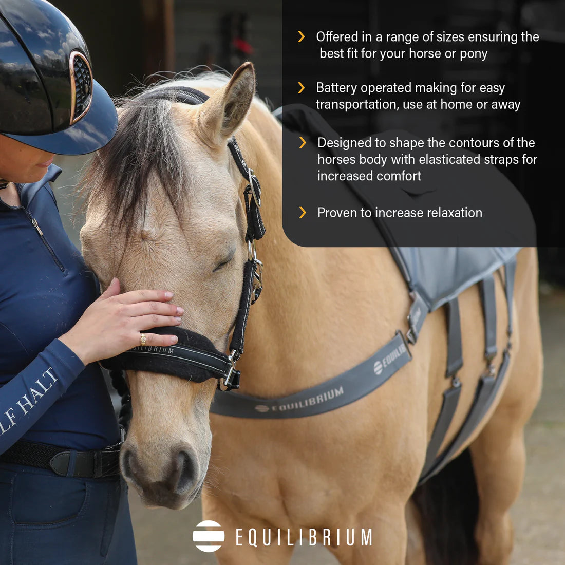 Equilibrium Massage Pad